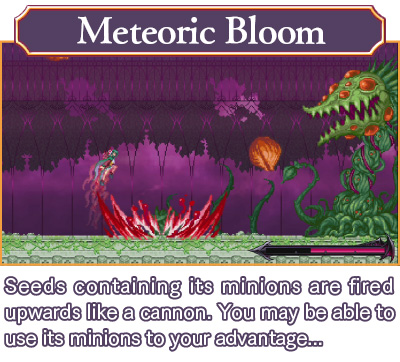 Meteoric Bloom