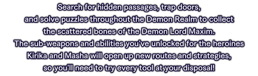 Search for hidden passages, trap doors, and solve puzzles throughout the Demon Realm to collect the scattered bones of the Demon Lord Maxim. 